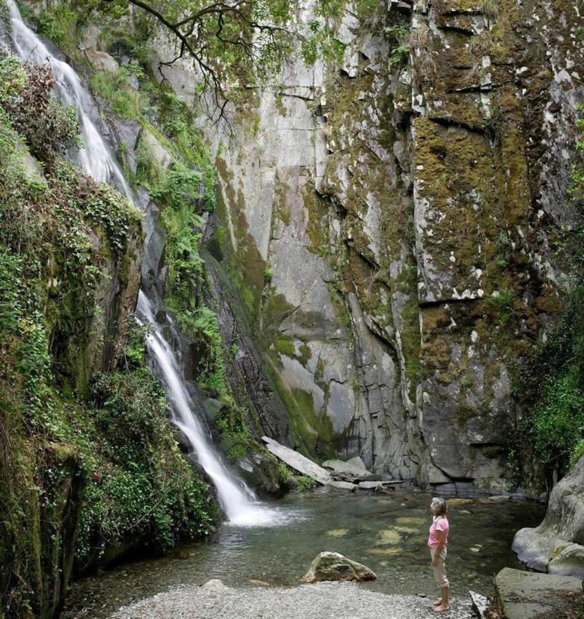 A Pequena Casa Coja Central Portugal Mountains Εξωτερικό φωτογραφία