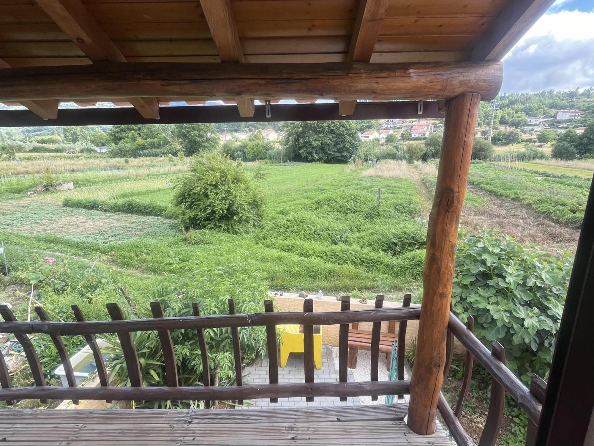 A Pequena Casa Coja Central Portugal Mountains Εξωτερικό φωτογραφία