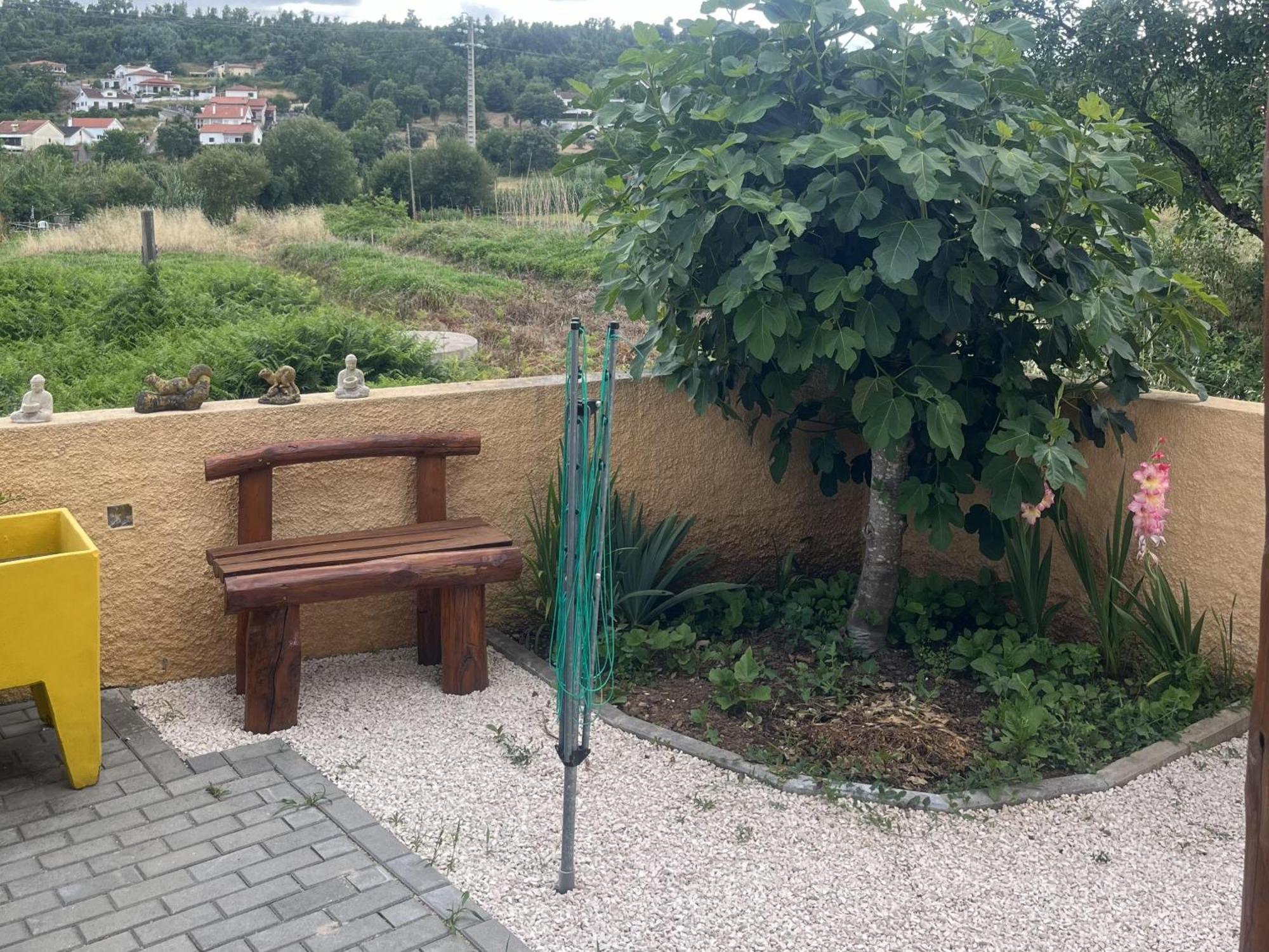 A Pequena Casa Coja Central Portugal Mountains Εξωτερικό φωτογραφία